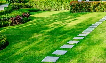 How to Hire a Reliable Lawn Care Service