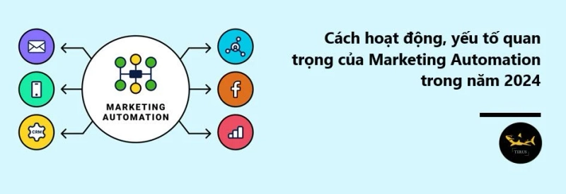 Các Yếu Tố Quan Trọng Của Marketing Automation