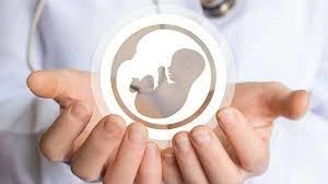 Fertility Preservation Options: A Comprehensive Guide for Women