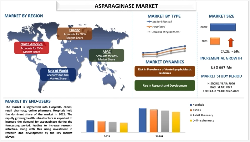 Asparaginase Market Size, Share, Analysis, Trends, Growth & Forecast (2022-2028)