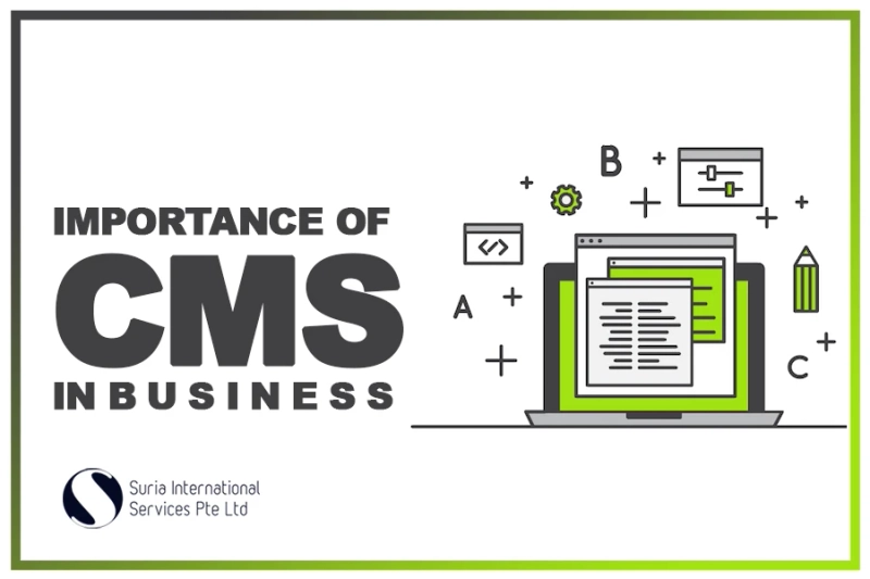 Top Ten Reasons Why Your Business Needs Content Management System (CMS) - Suria International