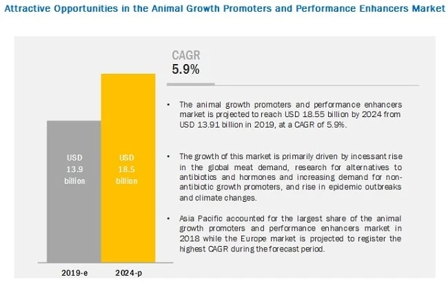 Animal Growth Promoters and Performance Enhancers Market Worth $18.5 Billion by 2024 - Exclusive Rep