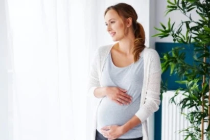 how pregnancy calculated