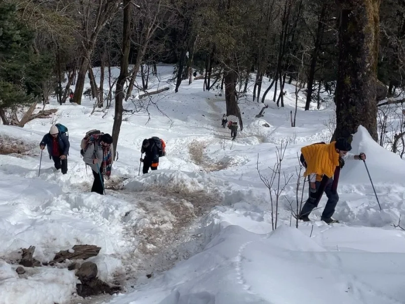 Kedarkantha Trek – A True Mountain Escape