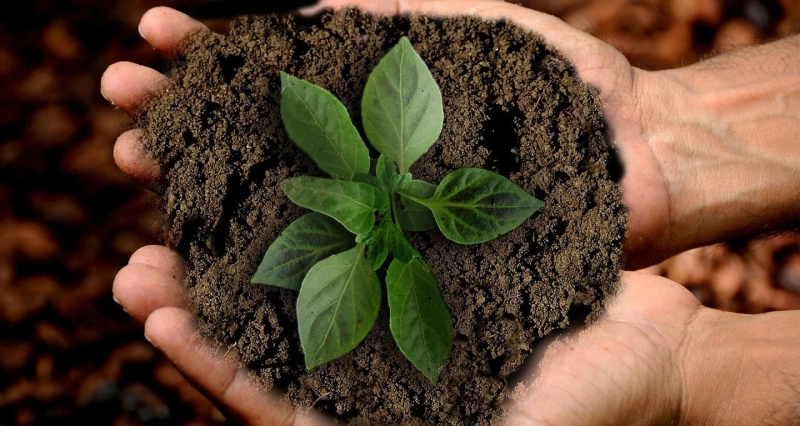 How to help businesses reach their sustainability targets