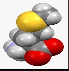 3D Amino Acids