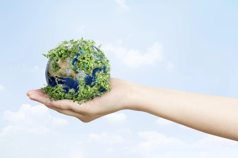Environmental Industry Reports: Competitive Landscape and Growth Drivers