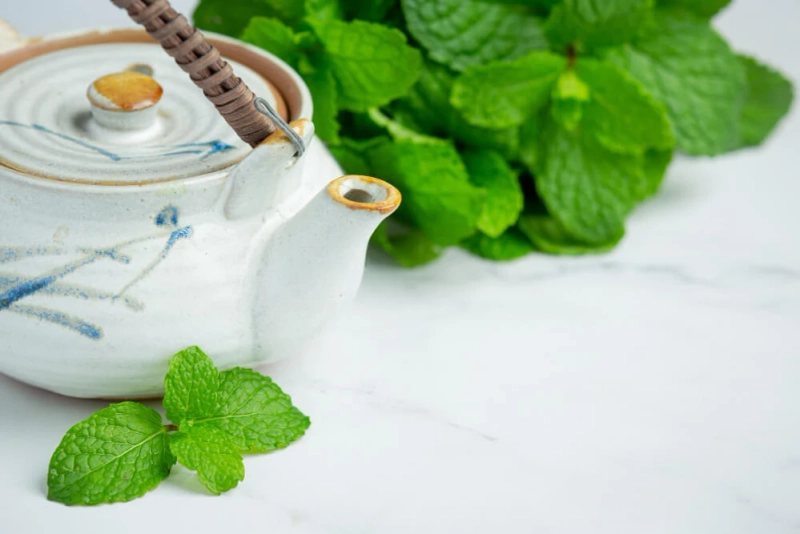 Your Guide to Refreshing Mint Tea Varieties
