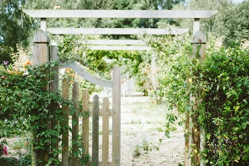 Tips on Designing Your Front Yard