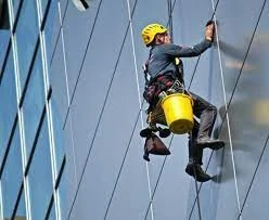 Why you should hire a professional cleaning service?