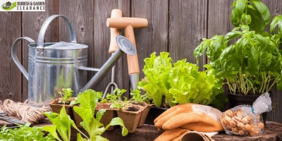 Shape Up Your Garden with Our Professional Garden Clearance Services in Croydon