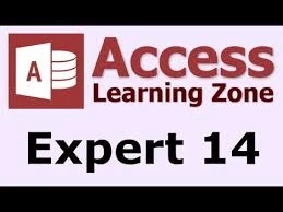 Access konsulent