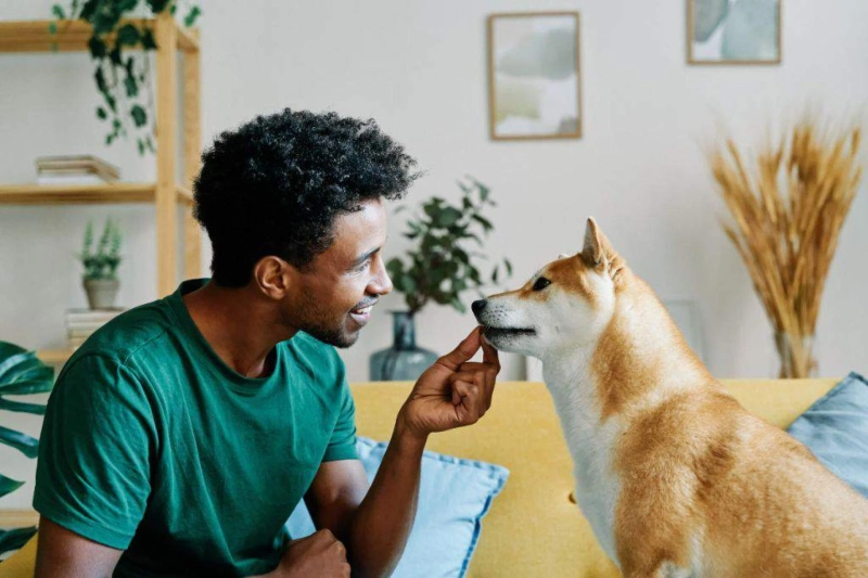 Feeding Pets for Emotional Wellness: A Cultural Approach
