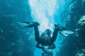 Dive Into Adventure with Scuba Coiba – Sharks, Coiba & Santa Catalina