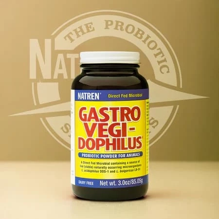 How Probiotics for Pets Make a Difference: The Hidden Heroes in Your Pet’s Health