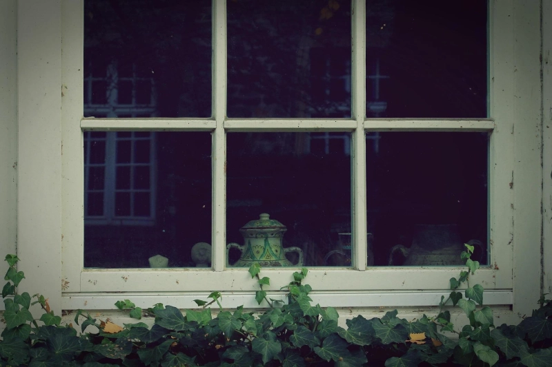 Double Pane vs. Single: What’s Better for You?
