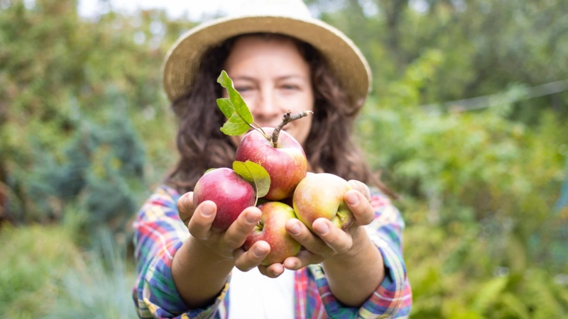 How to Make Apple Cider at Home (Plus Where to Buy the Best Apples)