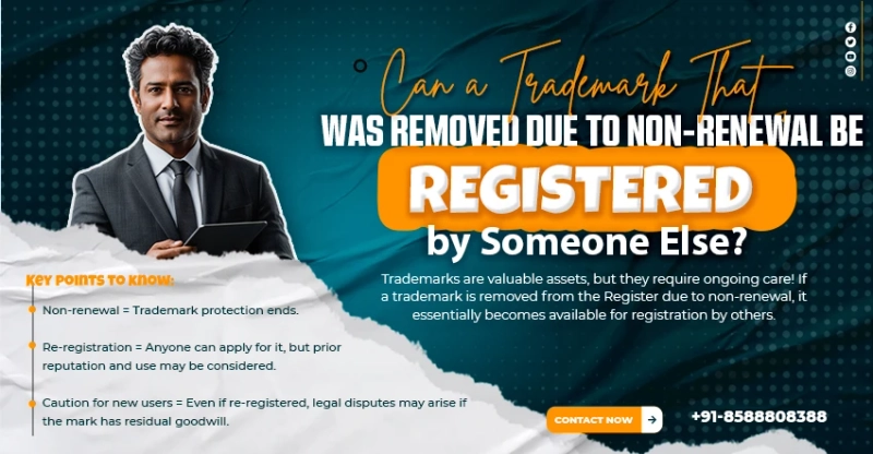 Can a Non-Renewed Removed Trademark Be Registered or Used by Someone Else?