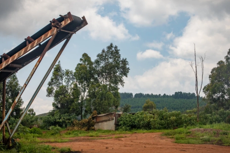 How Metal Detection Helps Keep Conveyor Systems Safe and Clean