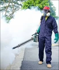 Tips to Consider Before Selecting a Bug Removal Company in Novi