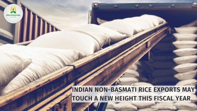 Indian Non-Basmati Rice Exports May Touch a New Height this Fiscal Year