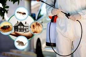 Pest Control Services: Protecting Your Home and Business from Unwanted Invaders