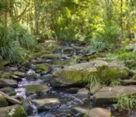 Role of Building and Pest Reports in Property Valuation