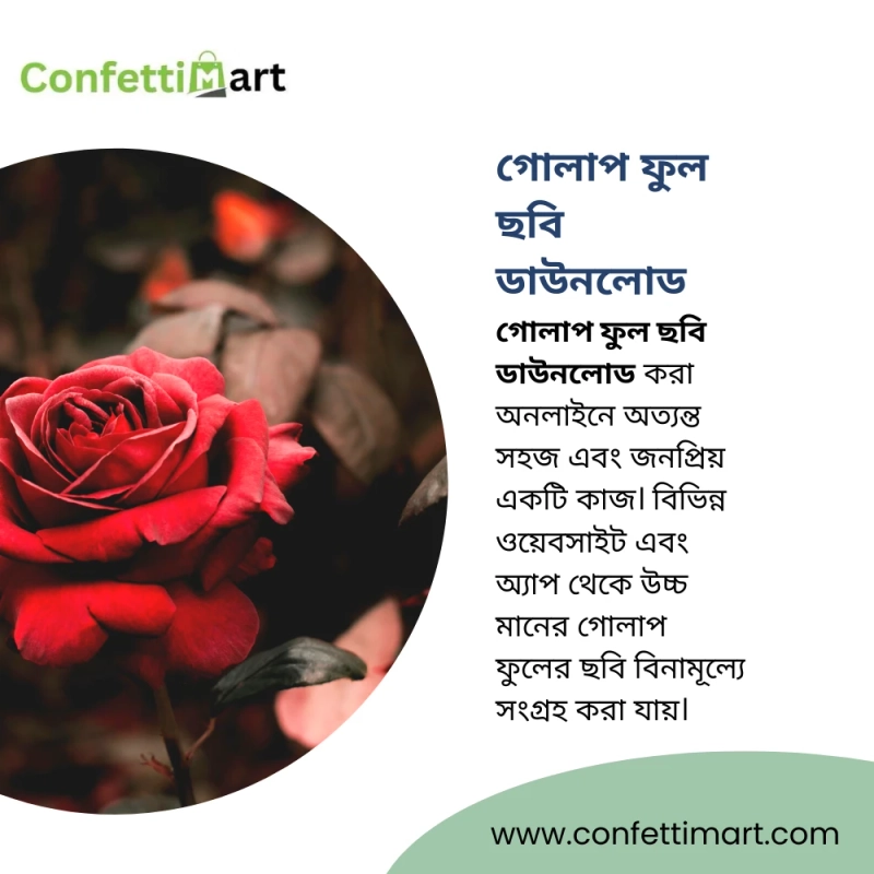 গোলাপ ফুল ছবি ডাউনলোড: সুন্দর মুহূর্ত সংরক্ষণের সহজ উপায়