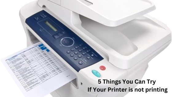 5 Things You Can Try If Your Printer is not printing