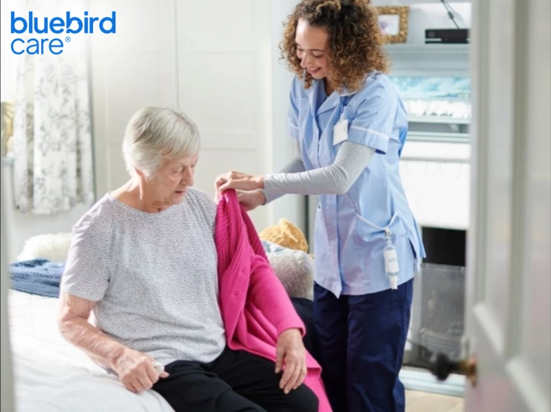 Why Home Companion Care is the Best Option for Seniors in Barnet