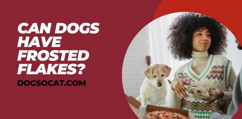 Can Dogs Have Frosted Flakes?