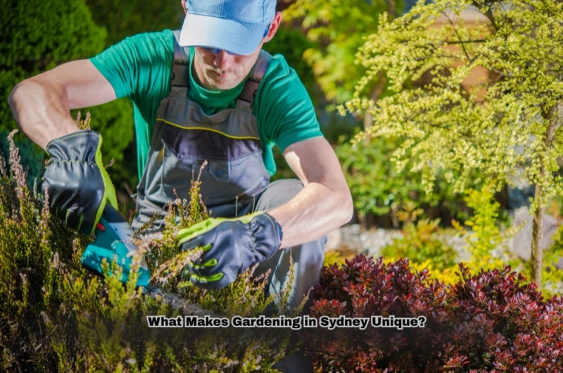 What Makes Gardening in Sydney Unique?