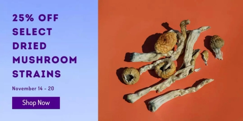 How To Buy Magic Mushrooms In The Most Effectively Manner, Avoiding Unnecessary Risk & Expenses