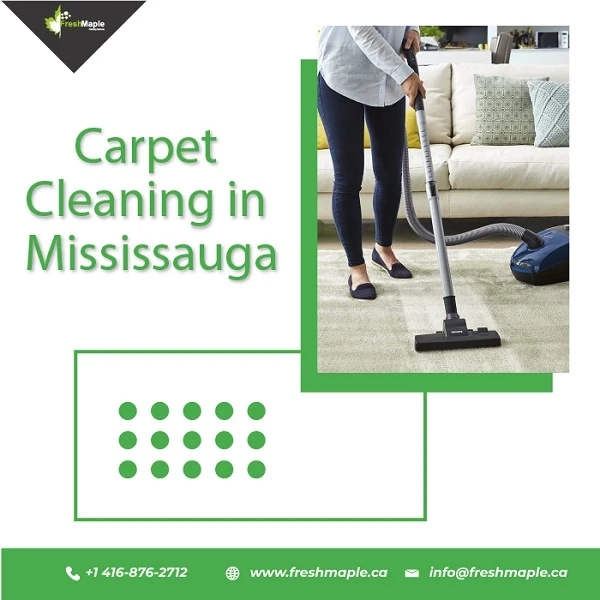 Professional Carpet Cleaning In Mississauga: Best For Kids And You