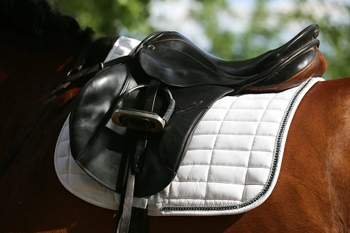 Discover the Equine Saddlery Online