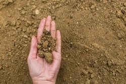 Can Microbiometer Analysis Help Identify Fungal Risks to Soil Health?
