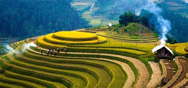 Enjoy Holidays In Vietnam With Experienced Vietnam Travel Guide Vivu Travel