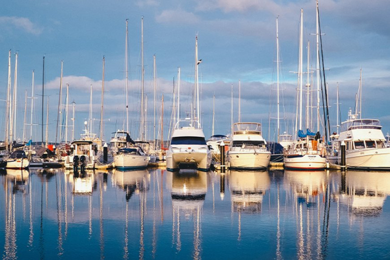 Let's Tell the Tale of Tasmania Through the Rich Experiences!