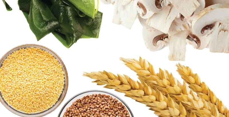 Beta Glucan Market Size, Industry Report, Trends and Forecast 2022-2027