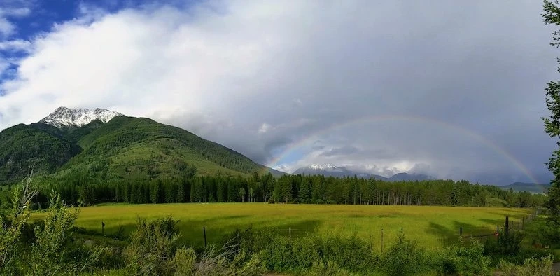 The Power of Solitude: Why a Private Meditation Retreat is the Ultimate Reset