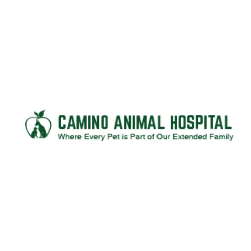 Finding The Best Pollock Pines Veterinarian For Your Furry Friends