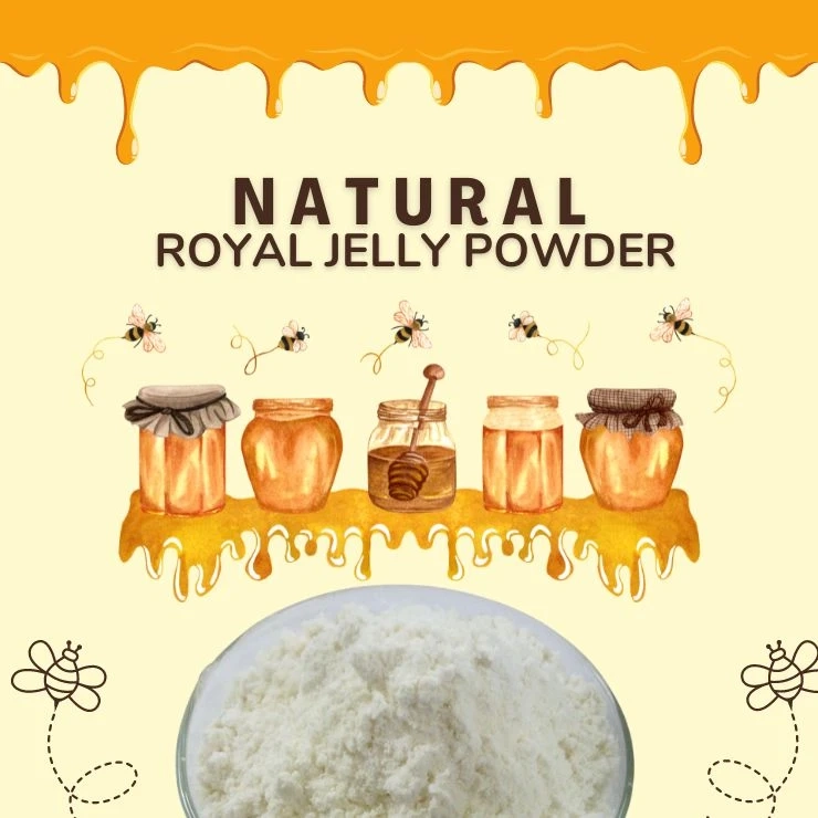 The Top Benefits and Uses of Royal Jelly Powder