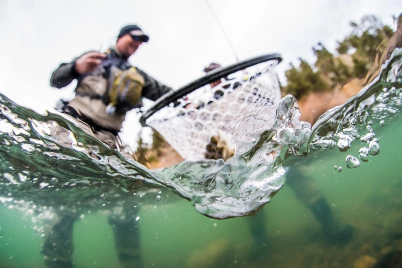 How to Select the Best Fishing Net for Catch and Release