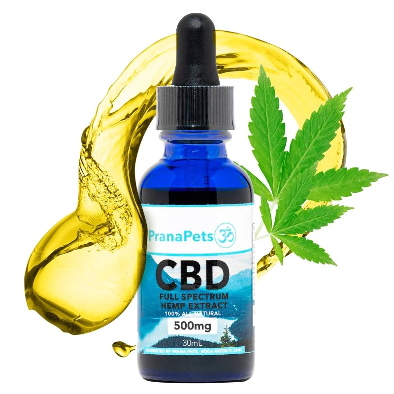 CBD for Pets: An In-Depth Expert