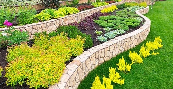 7 Reasons To Hire A Professional Landscaping Contractor In San Antonio