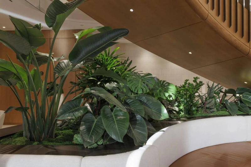 Interior Plantscapes That Elevate Hospitality Spaces