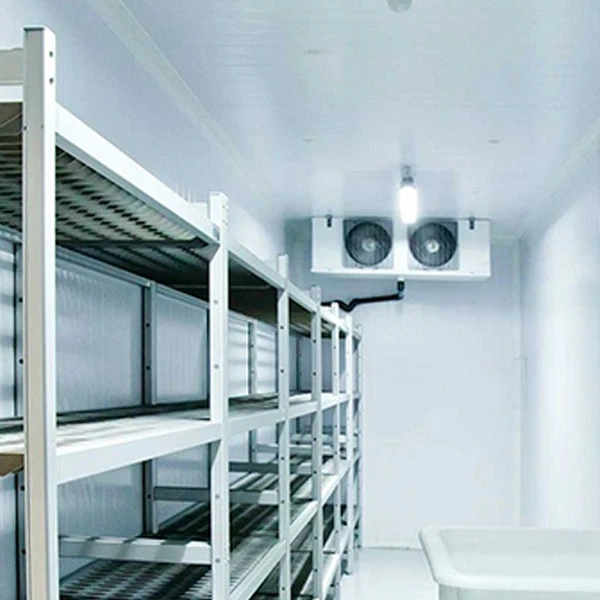 Why Should Businesses Rely on Experts for Commercial Freezer Repair?