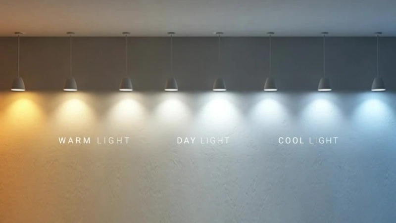 Curb Appeal and Functionality with Wall Sconces and Driveway Lights