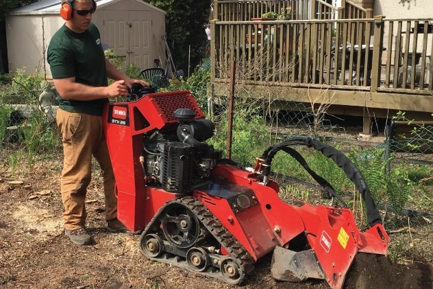 Advantages of Hiring Experts For Ottawa Stump Grinding Services