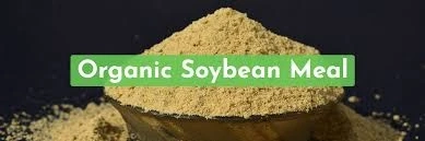 Organic Soymeal Market Size, Share, and Sales Outlook Demand (2024-2030)